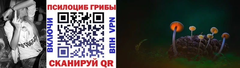 Галлюциногенные грибы Magic Shrooms  наркотики  Кувандык 