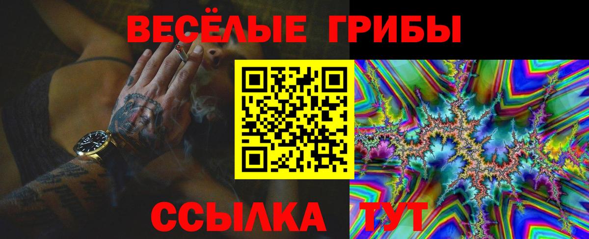 Кувандык  Псилоцибиновые грибы Psilocybine cubensis  Псилоцибиновые грибы Magic Shrooms  Вход с VPN 